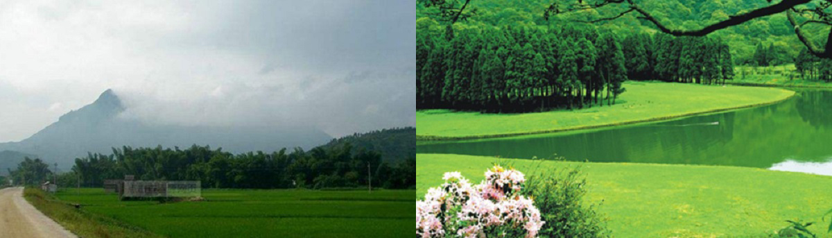 廣西南寧觀光車案例 廣西南寧觀光車案例