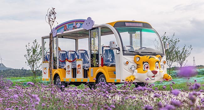 卡通電動(dòng)觀光車(chē) 卡通電動(dòng)觀光車(chē)