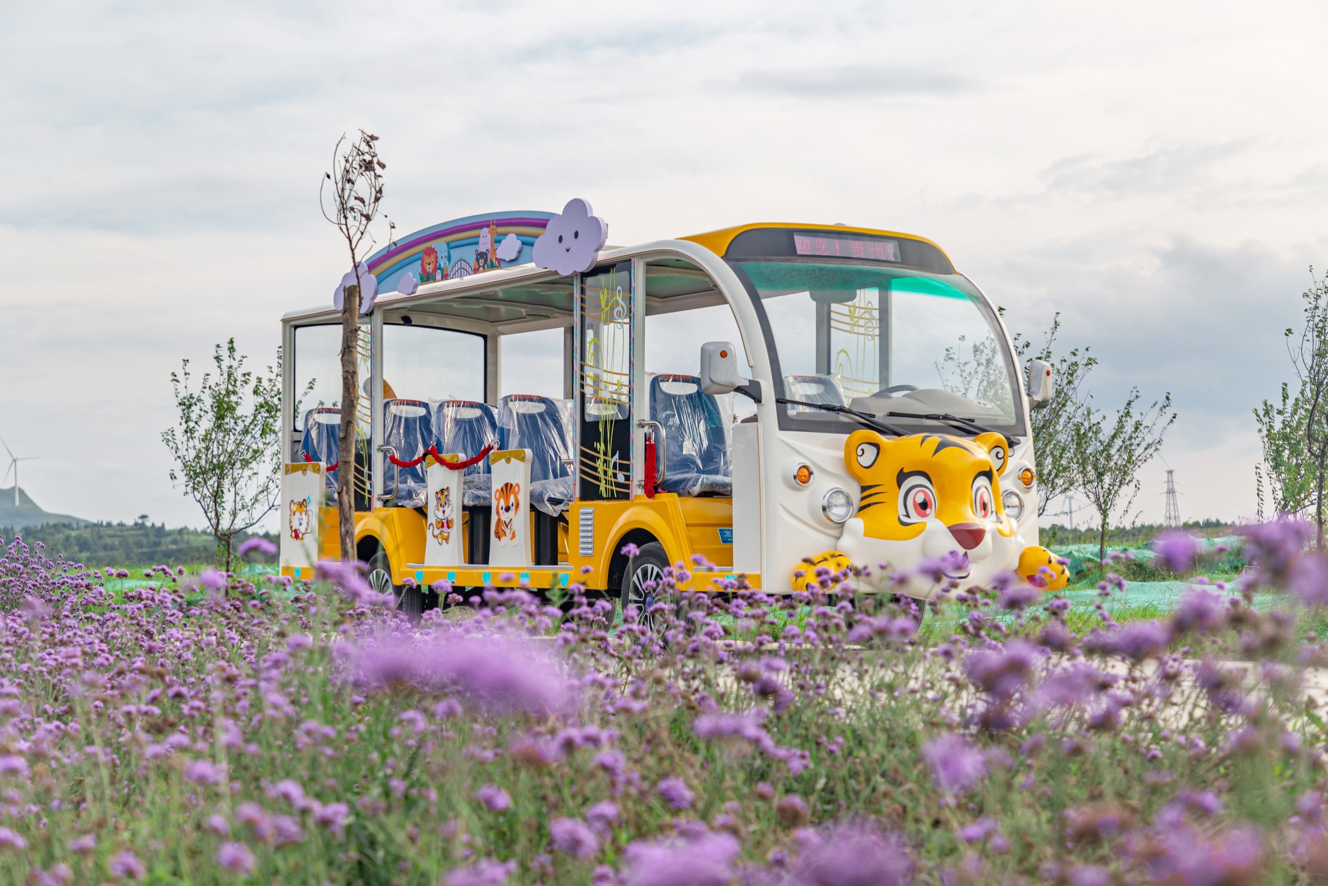 忠輝觀光車(chē)